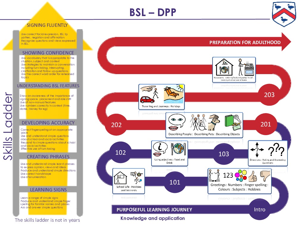 Bsl dpp skills ladder