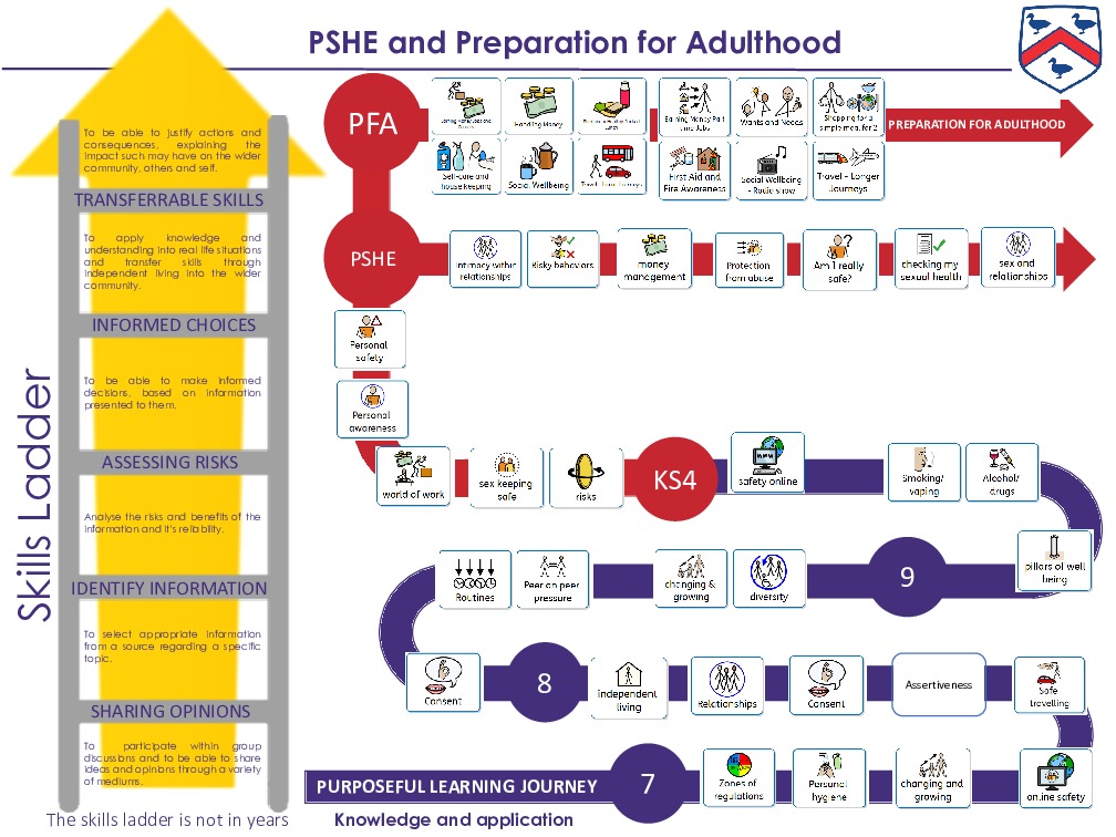 Pshe and pfa skills ladder