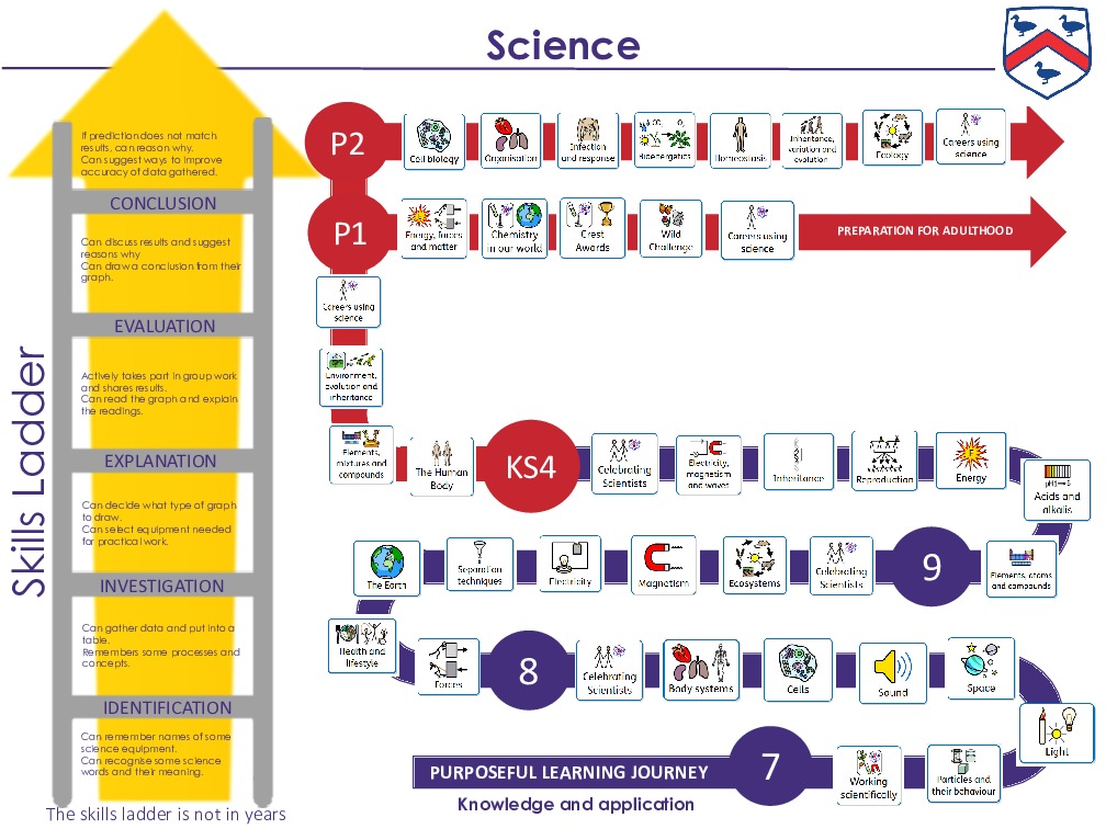 Science skills ladder